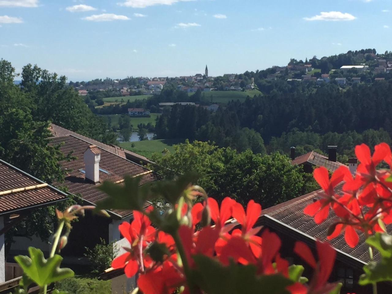 Ferienwohnung Waldblick Хауценберг Екстериор снимка