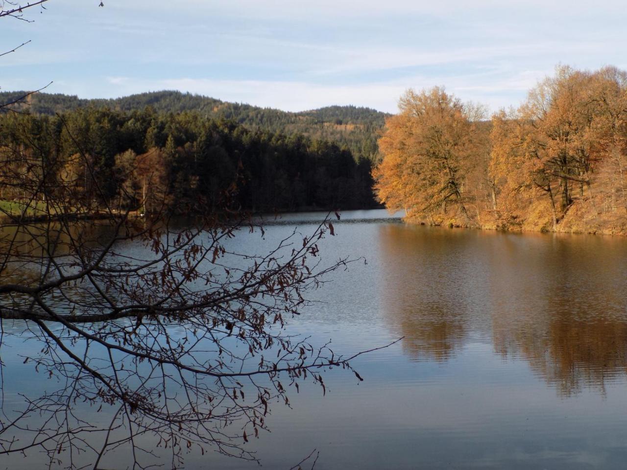 Ferienwohnung Waldblick Хауценберг Екстериор снимка